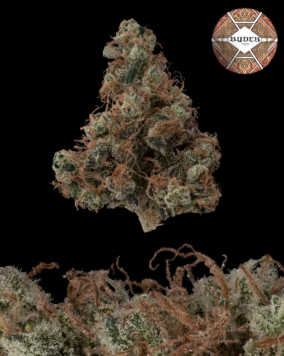 Ryder Farms Maine - sour d instagram.jpg